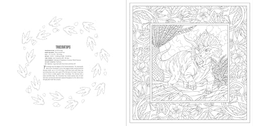 Animals: A Smithsonian Coloring Book Box Set