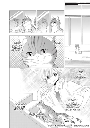 My New Life as a Cat Vol. 1
