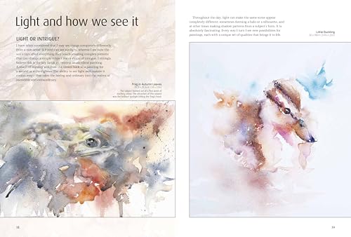 Jean Haines Colour & Light in Watercolour