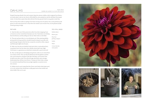 The Gardening Book: An Accessible Guide to Growing Houseplants, Flowers, and Vegetables for Your Ideal Garden