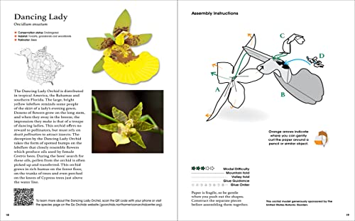 Origami Orchids Kit: 20 Beautiful Die-Cut Paper Models