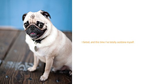 Waggish: Dogs Smiling for Dog Reasons