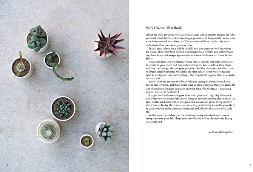 Succulents for Beginners: A Year-Round Growing Guide for Healthy and Beautiful Plants (over 200 Photos and Illustrations)