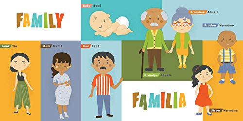 First 100 Words in English and Spanish (Lil' Libros)