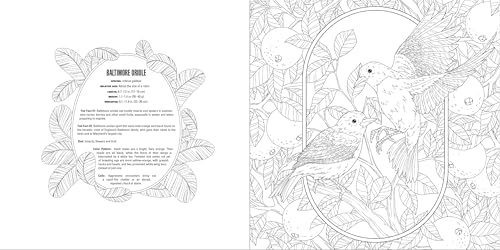 Animals: A Smithsonian Coloring Book Box Set