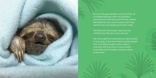 Destiny Finds Her Way: How a Rescued Baby Sloth Learned to Be Wild (Baby Animal Tales)