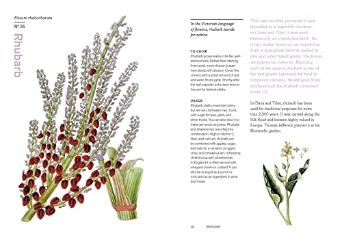 Herbal Handbook: 51 Profiles in Words and Art from the Rare Book and Folio Collections of the New York Botanical Garden