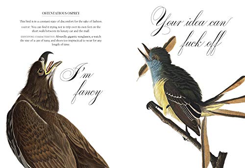 Effin' Birds: A Field Guide to Identification