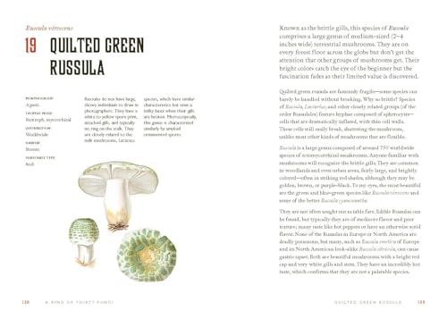 Fungi Decoded: Adventures in the Mycosphere--Encounters with Thirty Fungi