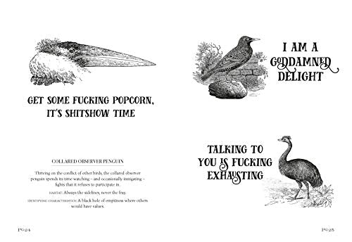 Effin' Birds: A Field Guide to Identification