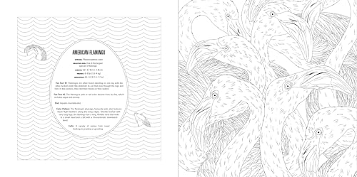 Animals: A Smithsonian Coloring Book Box Set