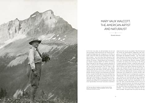 Wild Flowers of North America: Botanical Illustrations by Mary Vaux Walcott