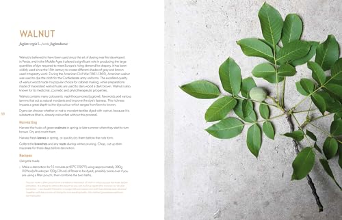 Botanical Dyes: A seasonal guide to sustainable dyeing