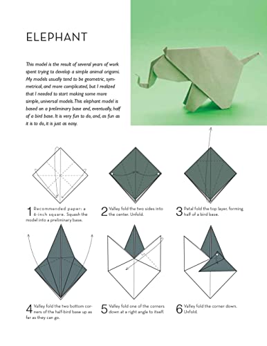 Outside the Box Origami: A New Generation of Extraordinary Folds: Includes Origami Book With 20 Projects Ranging From Easy to Complex