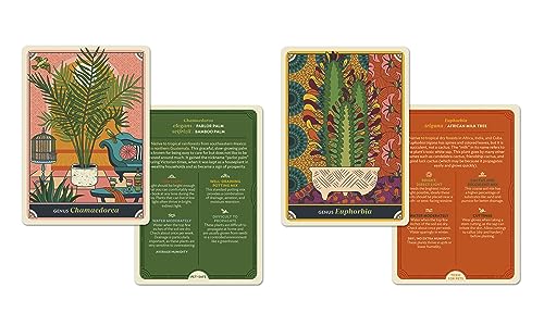 The Happy Houseplant Deck: 50 Cards for Intuitive Plant Care