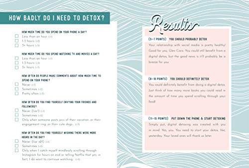 Life Unplugged: A Digital Detox Workbook