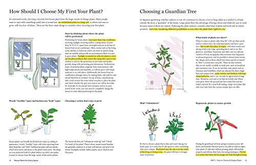 House Plants for Every Space: A Concise Guide to Selecting, Designing and Maintaining Plants in Any Indoor Space