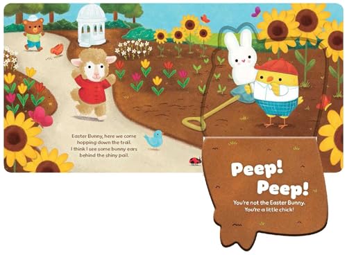 Easter Bunny, Where Are You?: A Lift-the-Flap Book!