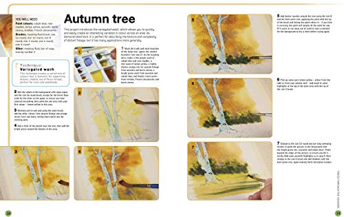 Ready to Paint in 30 Minutes: Trees & Woodlands in Watercolour
