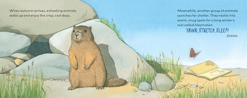 Summertime Sleepers: Animals That Estivate
