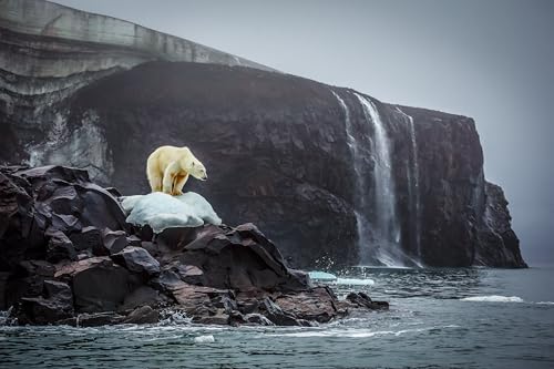 Bi-Polar: Photographs from an Unquiet Mind