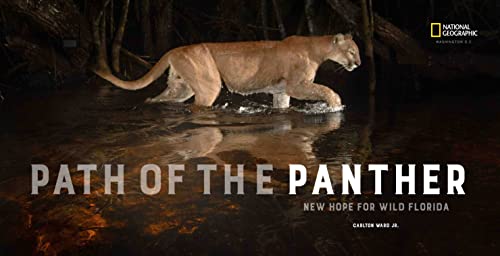 Path of the Panther: New Hope for Wild Florida