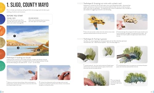 Anyone Can Paint Coastal Landscapes: 6 easy step-by-step projects to get you started