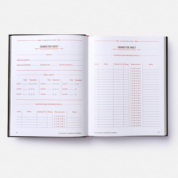 The Player's Campaign Journal (Dungeons & Dragons)