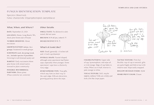 The Everyday Naturalist: How to Identify Animals, Plants, and Fungi Wherever You Go
