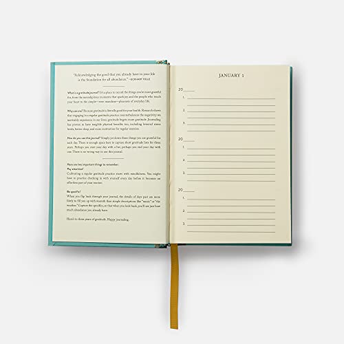 The Gratitude Journal
