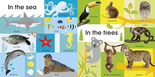 100 First Animals