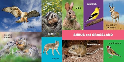 My First 100 Pacific Northwest Animals