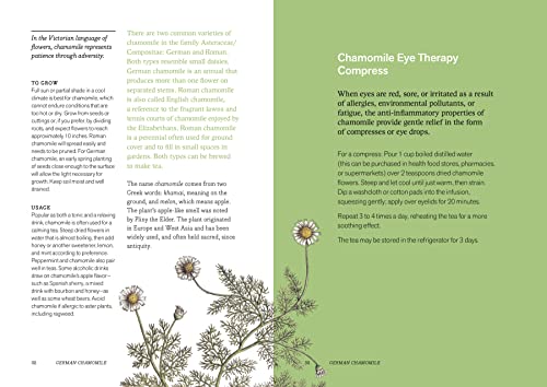 Herbal Handbook: 51 Profiles in Words and Art from the Rare Book and Folio Collections of the New York Botanical Garden