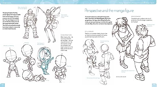 Step-by-Step Manga