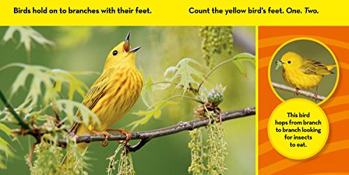 National Geographic Kids Look & Learn: Birds