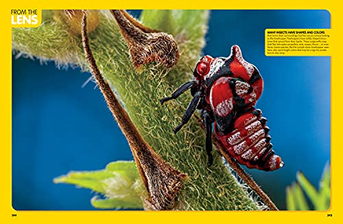 National Geographic Kids Animal Encyclopedia, 2nd Edition: 2,500 Animals with Photos, Maps, and More! (NGK Encyclopedias)