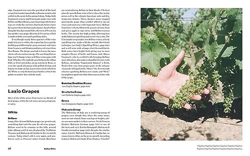 Italian Wine: The History, Regions, and Grapes of an Iconic Wine Country