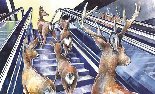 Sea Lions in the Parking Lot: Animals On The Move In A Time Of Pandemic