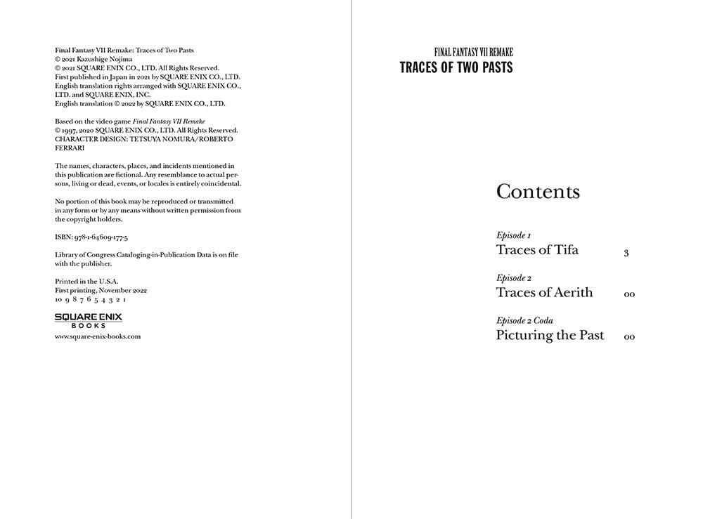 Final Fantasy VII Remake: Traces of Two Pasts (Novel)