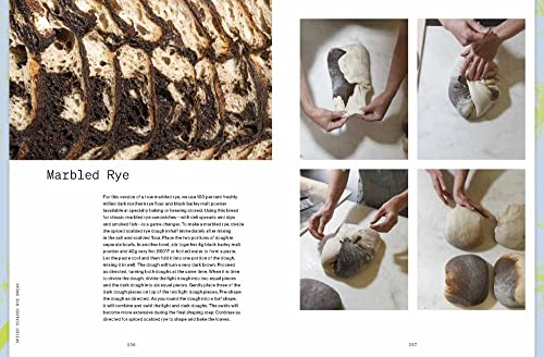 Bread Book: Ideas and Innovations from the Future of Grain, Flour, and Fermentation [A Cookbook]