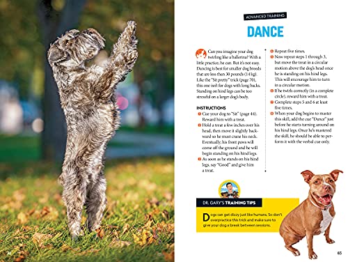 Fetch! A How to Speak Dog Training Guide (NGK How to Speak Animal)