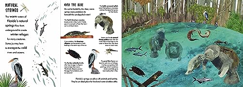 Habitats: A Journey in Nature