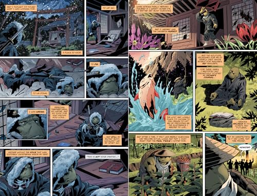 Teenage Mutant Ninja Turtles: The Last Ronin--Lost Years