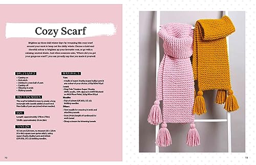 Beginner's Guide to Knitting, The: Easy techniques and 8 fun projects