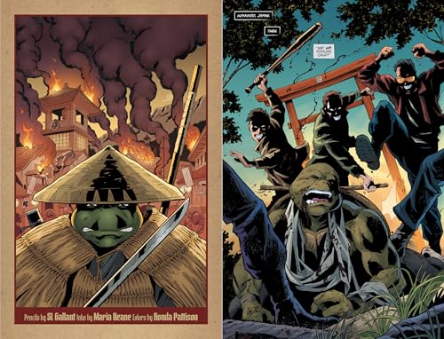 Teenage Mutant Ninja Turtles: The Last Ronin--Lost Years