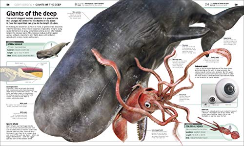 Knowledge Encyclopedia Ocean!: Our Watery World As You've Never Seen It Before (Knowledge Encyclopedias)