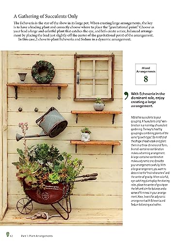 Growing Succulents: A Pictorial Guide (Over 1,500 photos and 700 plants)