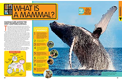 National Geographic Kids Animal Encyclopedia, 2nd Edition: 2,500 Animals with Photos, Maps, and More! (NGK Encyclopedias)