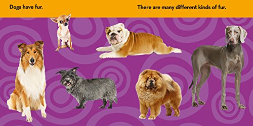 National Geographic Kids Look & Learn: Dogs