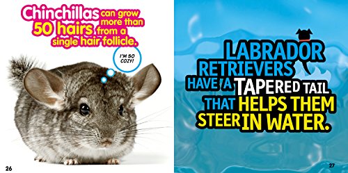 Weird But True! Animals